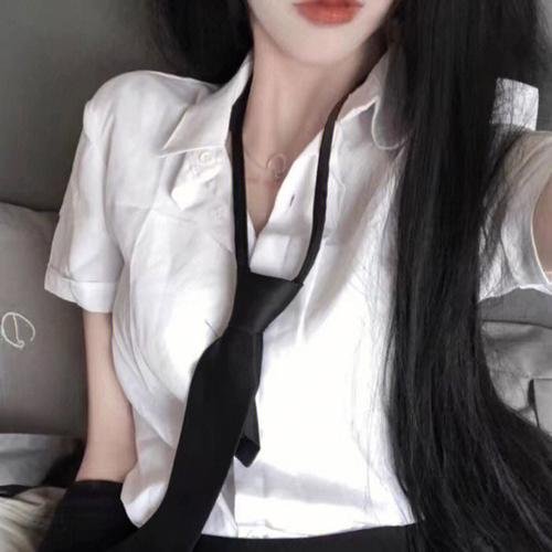 后续卢宫秘史